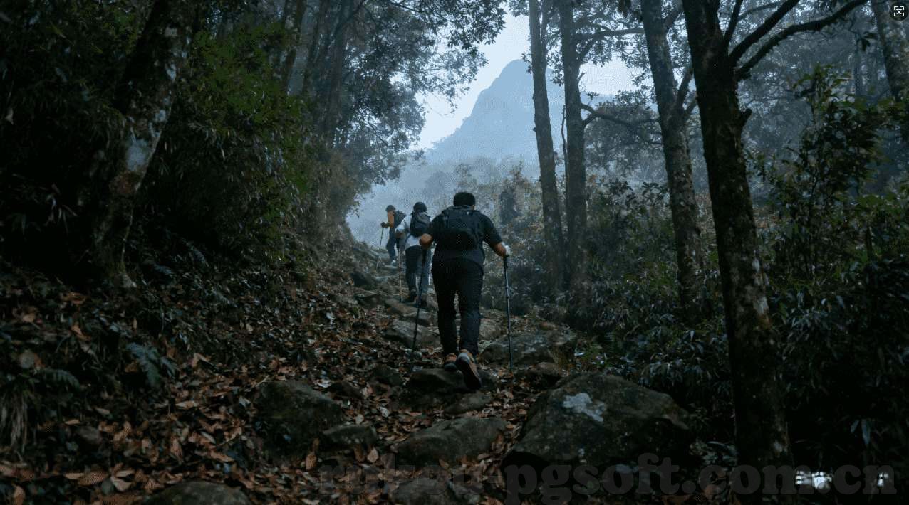 微信炸金花网站连接-微信炸金花网站连接，警惕网络赌博的陷阱